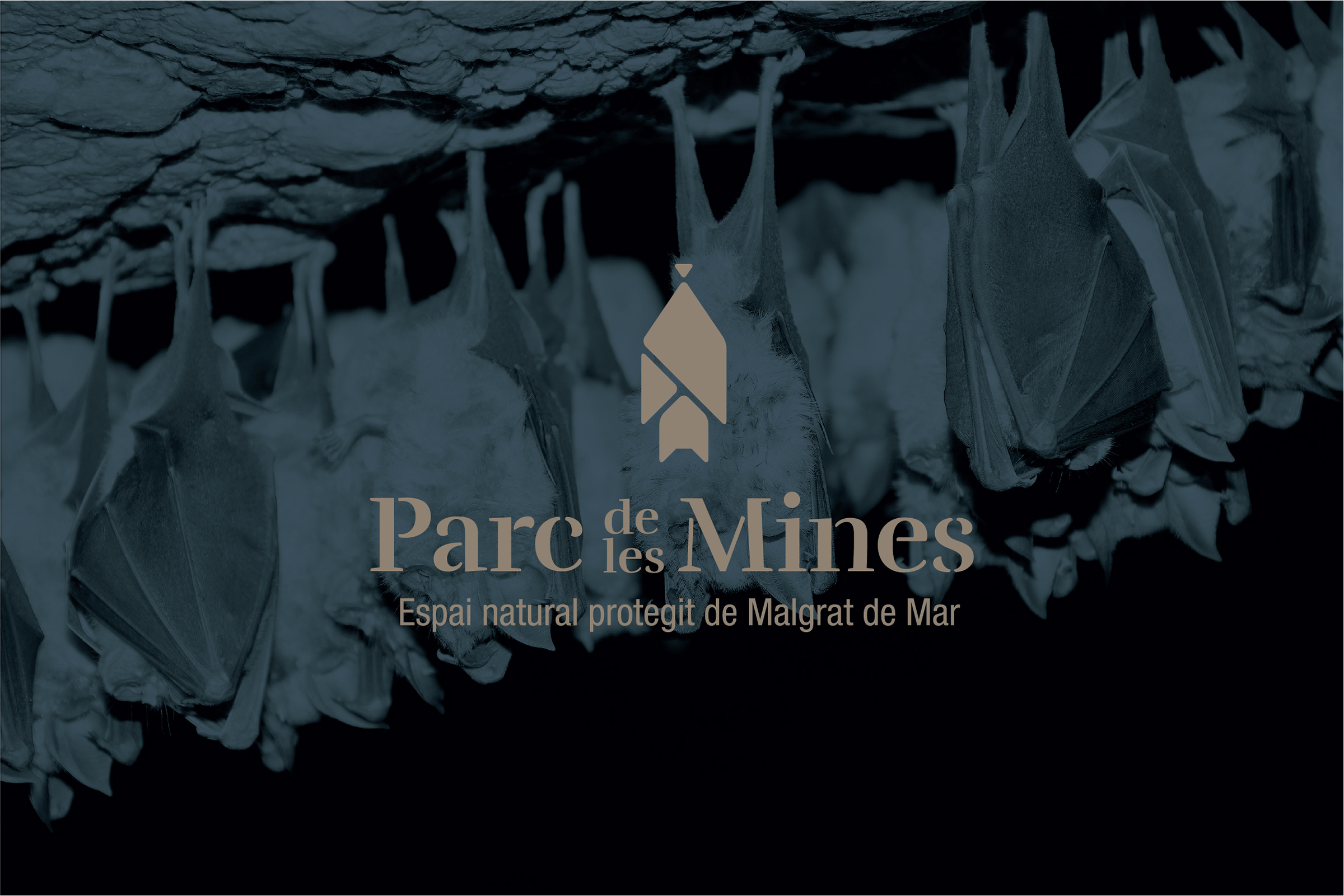 Ex Estudi - Parc de les Mines
