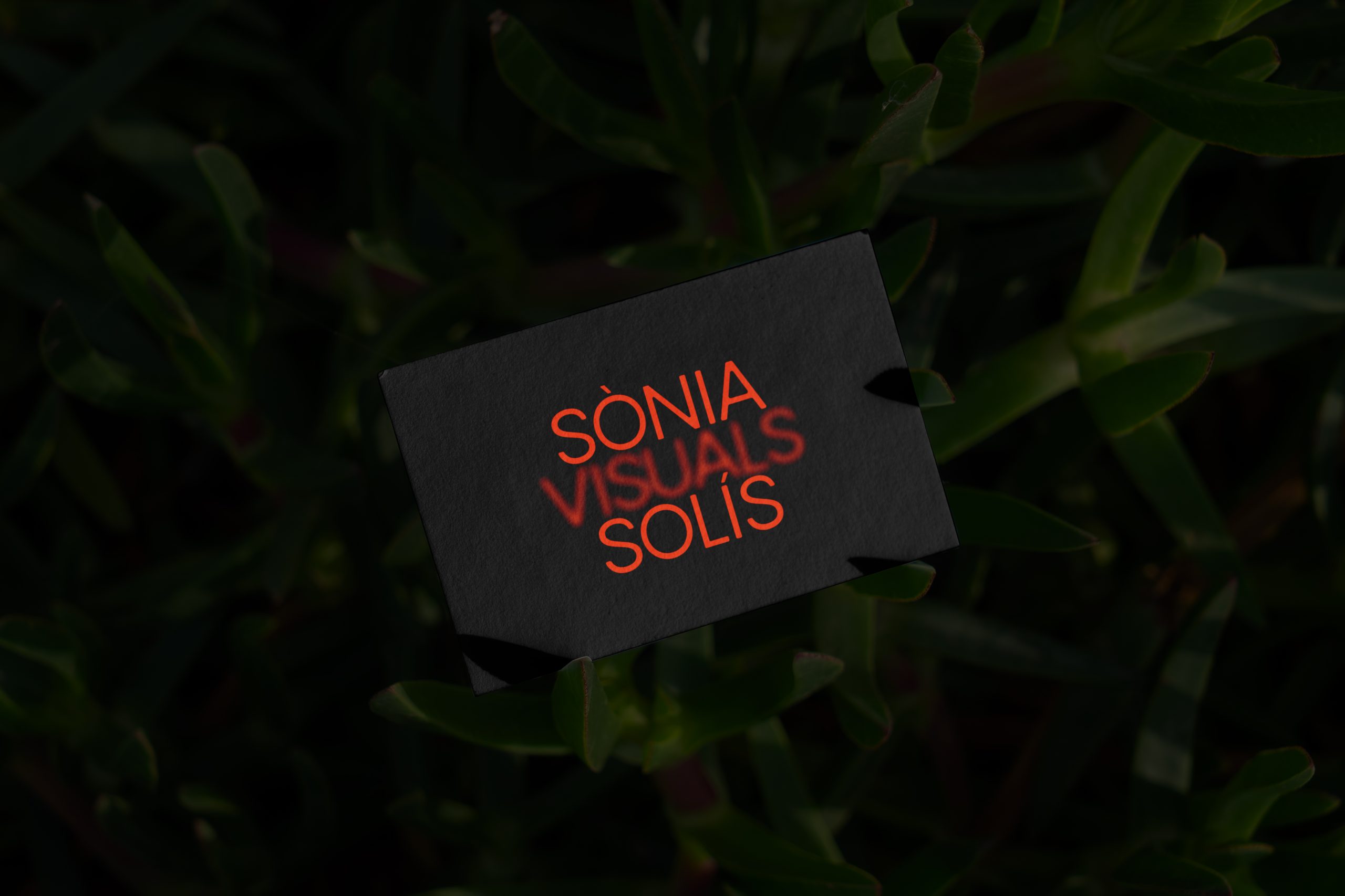 Ex Estudi - Sònia Solís Visuals
